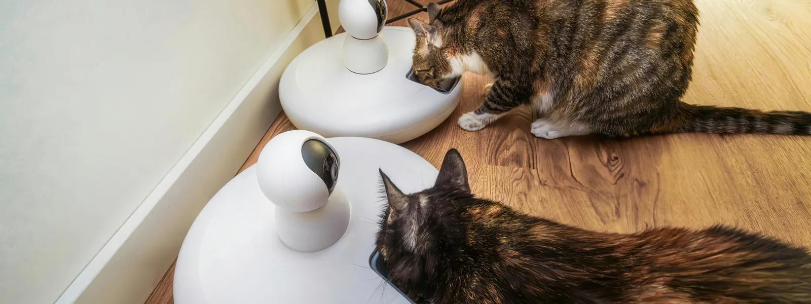 Slimme dierenbenodigdheden voor huisdieren