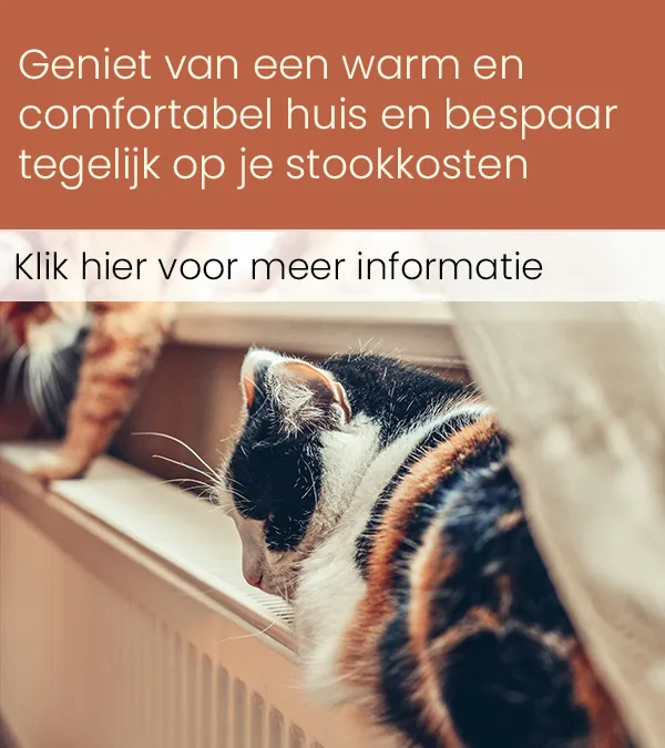 Energiezuinige woning